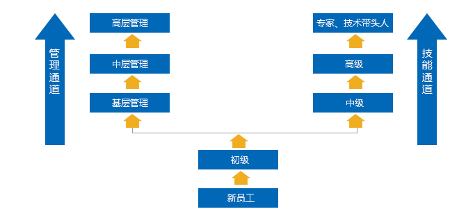 员工成长